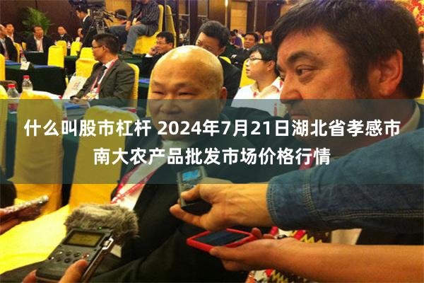 什么叫股市杠杆 2024年7月21日湖北省孝感市南大农产品批发市场价格行情