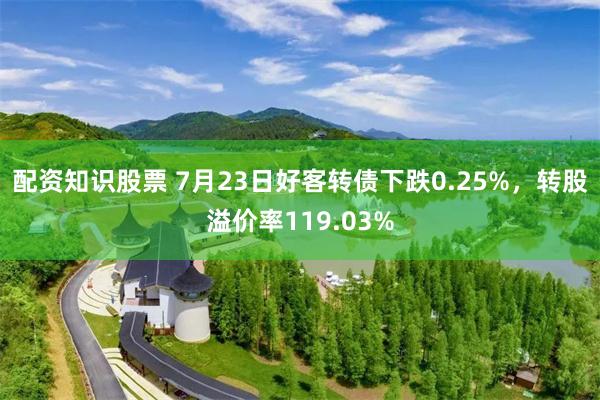 配资知识股票 7月23日好客转债下跌0.25%，转股溢价率119.03%