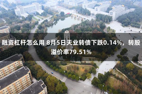 融资杠杆怎么用 8月5日天业转债下跌0.14%，转股溢价率79.51%