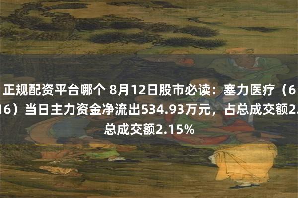 正规配资平台哪个 8月12日股市必读：塞力医疗（603716）当日主力资金净流出534.93万元，占总成交额2.15%