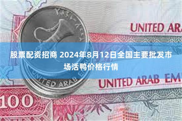 股票配资招商 2024年8月12日全国主要批发市场活鸭价格行情