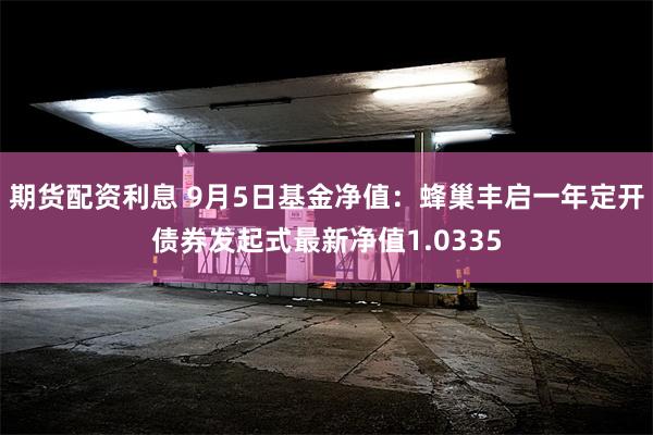 期货配资利息 9月5日基金净值：蜂巢丰启一年定开债券发起式最新净值1.0335