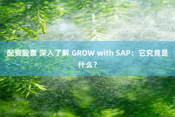 配资股票 深入了解 GROW with SAP：它究竟是什么？