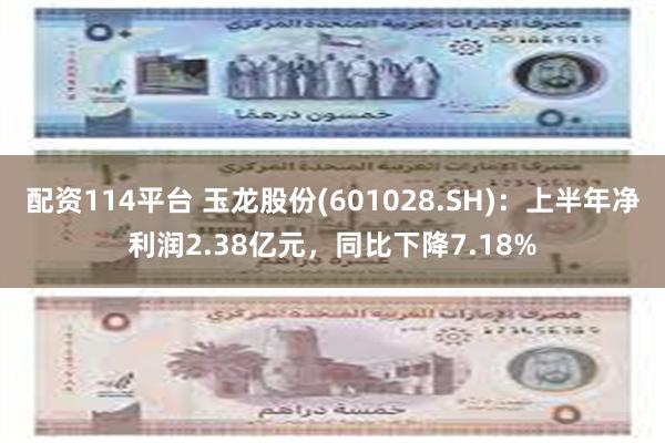 配资114平台 玉龙股份(601028.SH)：上半年净利润2.38亿元，同比下降7.18%