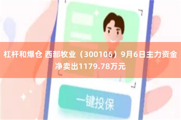 杠杆和爆仓 西部牧业（300106）9月6日主力资金净卖出1179.78万元