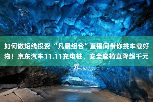 如何做短线投资 “凡晨组合”直播间带你挑车载好物！京东汽车11.11充电桩、安全座椅直降超千元