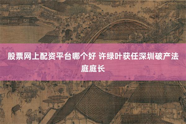 股票网上配资平台哪个好 许绿叶获任深圳破产法庭庭长