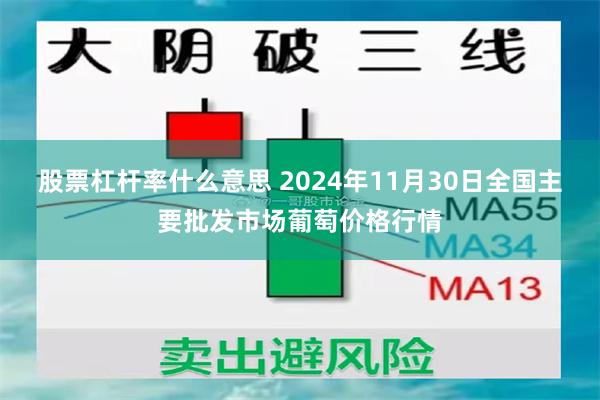 股票杠杆率什么意思 2024年11月30日全国主要批发市场葡萄价格行情