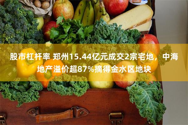 股市杠杆率 郑州15.44亿元成交2宗宅地，中海地产溢价超87%摘得金水区地块