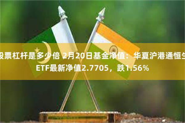 股票杠杆是多少倍 2月20日基金净值：华夏沪港通恒生ETF最新净值2.7705，跌1.56%