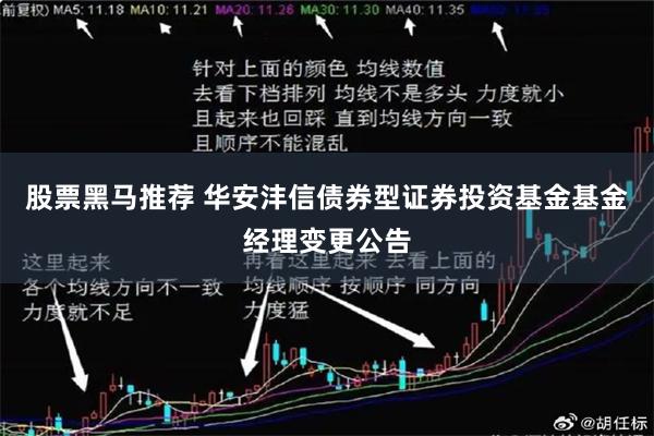 股票黑马推荐 华安沣信债券型证券投资基金基金经理变更公告