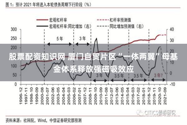 股票配资知识网 厦门自贸片区“一体两翼”母基金体系释放强磁吸效应