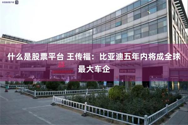 什么是股票平台 王传福：比亚迪五年内将成全球最大车企